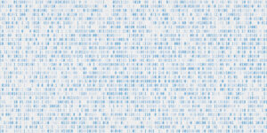 AdobeStock_163440686-light-edit